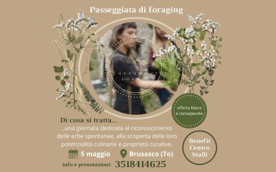 Passeggiata di foraging