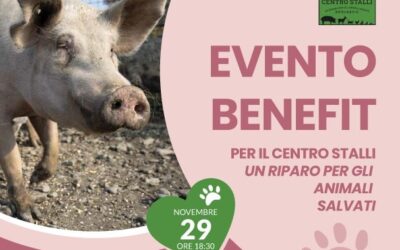 Aperitivo Benefit – La bottega
