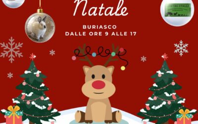 Mercatini di Natale a Buriasco
