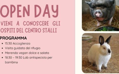 Vieni a visitare il Cento Stalli – 22 Giugno 2025