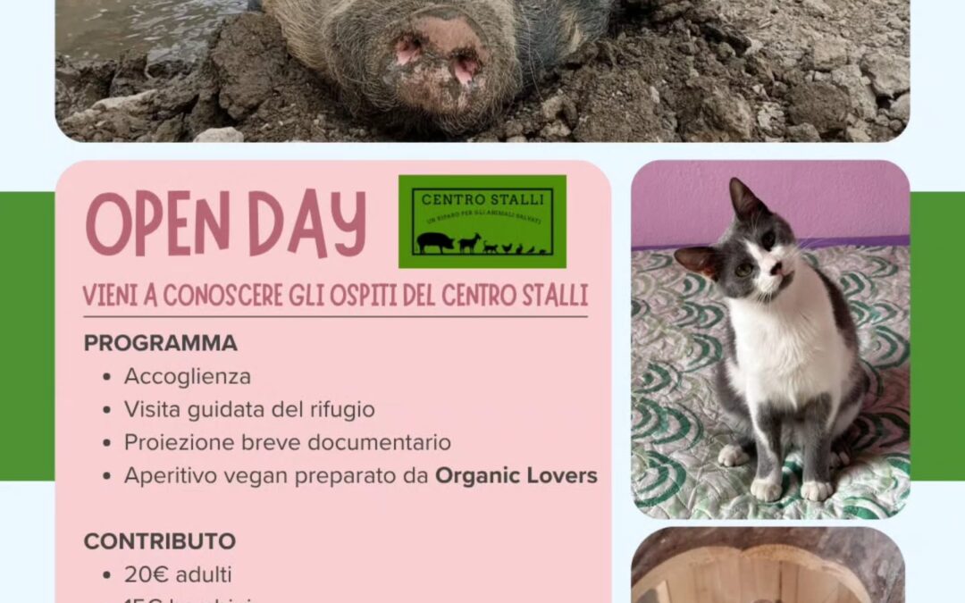 Open Day